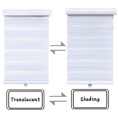 Zebra Roller Blinds [(W)60'' x (H)72''] White, Cordless, Dual Layer Shades, Sheer 
