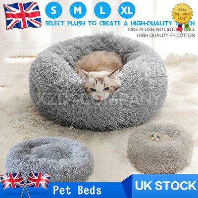 soothing cat bed