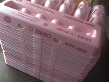 Lot of 40 Empty Egg Cartons (JUMBO) styrofoam - 12ct size used once