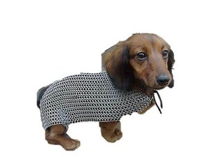 puppy armor