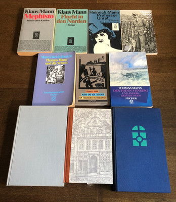 Thomas Mann & Klaus Mann Konvolut 10x Bücher Der Vulkan Buddenbrooks Prof. Unrat
