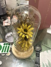 socathey Sunflower Gifts for Women, Artificial Sunflowers in Glass Dome with