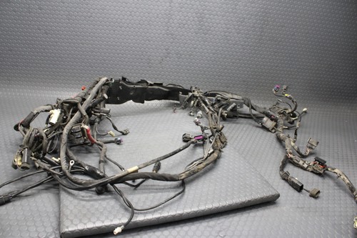 2019 19 Harley Davidson Electra CVO ABS Main Wiring Harness