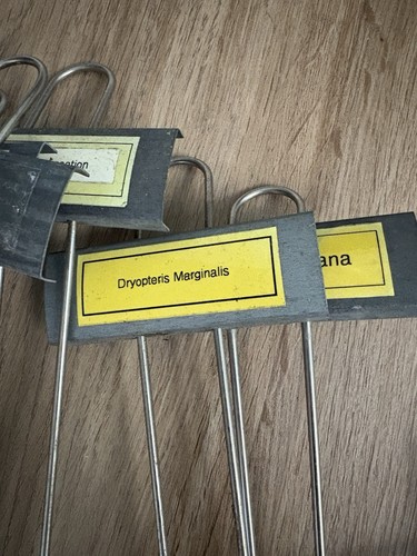 10 Stainless Steel And Zinc Horticultural Plant Labels ( Made In Germany) - Picture 4 of 5