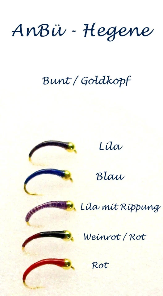 ANBÜ - HEGENE 5er Hegene Felchen Renken Bunt Mix Goldkopf Typ 5/13 Kostenloser Versand