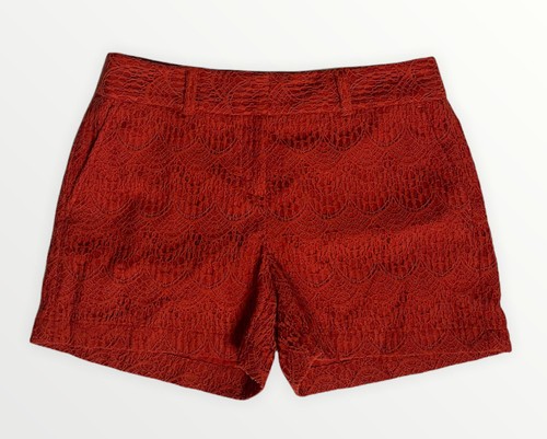 NEW Ann Taylor Loft Womens 4\