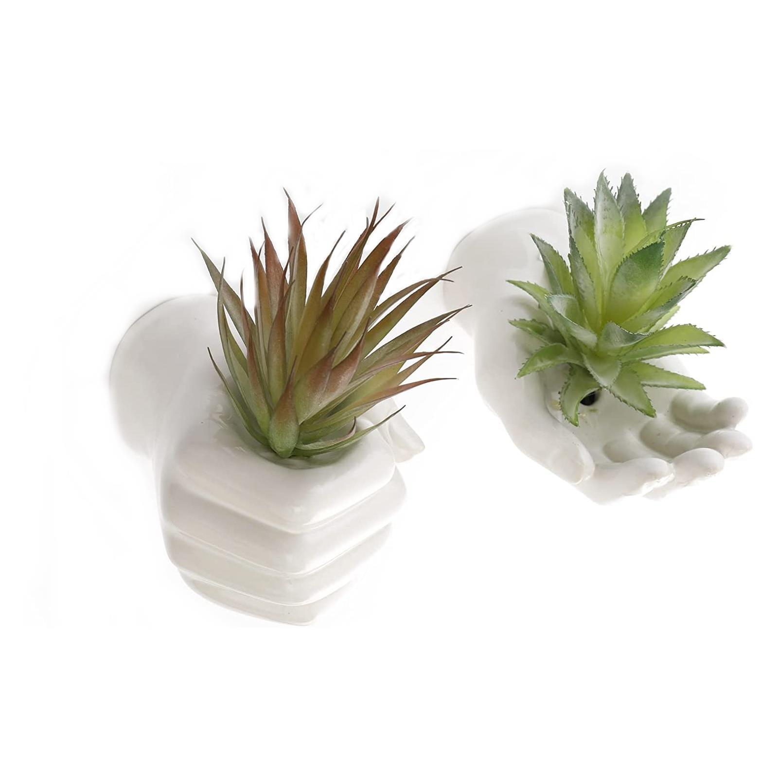 SIL Interiors On Trend Wall Decor Hand With Faux Succulent ONE Picked at Random