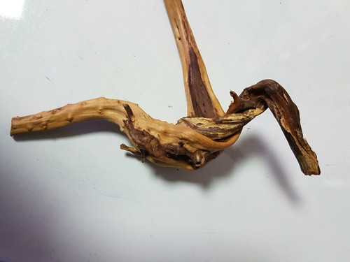 Soprammobile in PURA RADICA di legno "salto in lungo" - Foto 2 di 9
