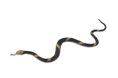 バッグ FREITAG REFERENCE FAKE SNAKE R107 HALE FREITAG REFERENCE