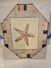 Bed Bath And Beyond Coastal Serenity Seashells Star Fish Ready To Hang Pic 9x11