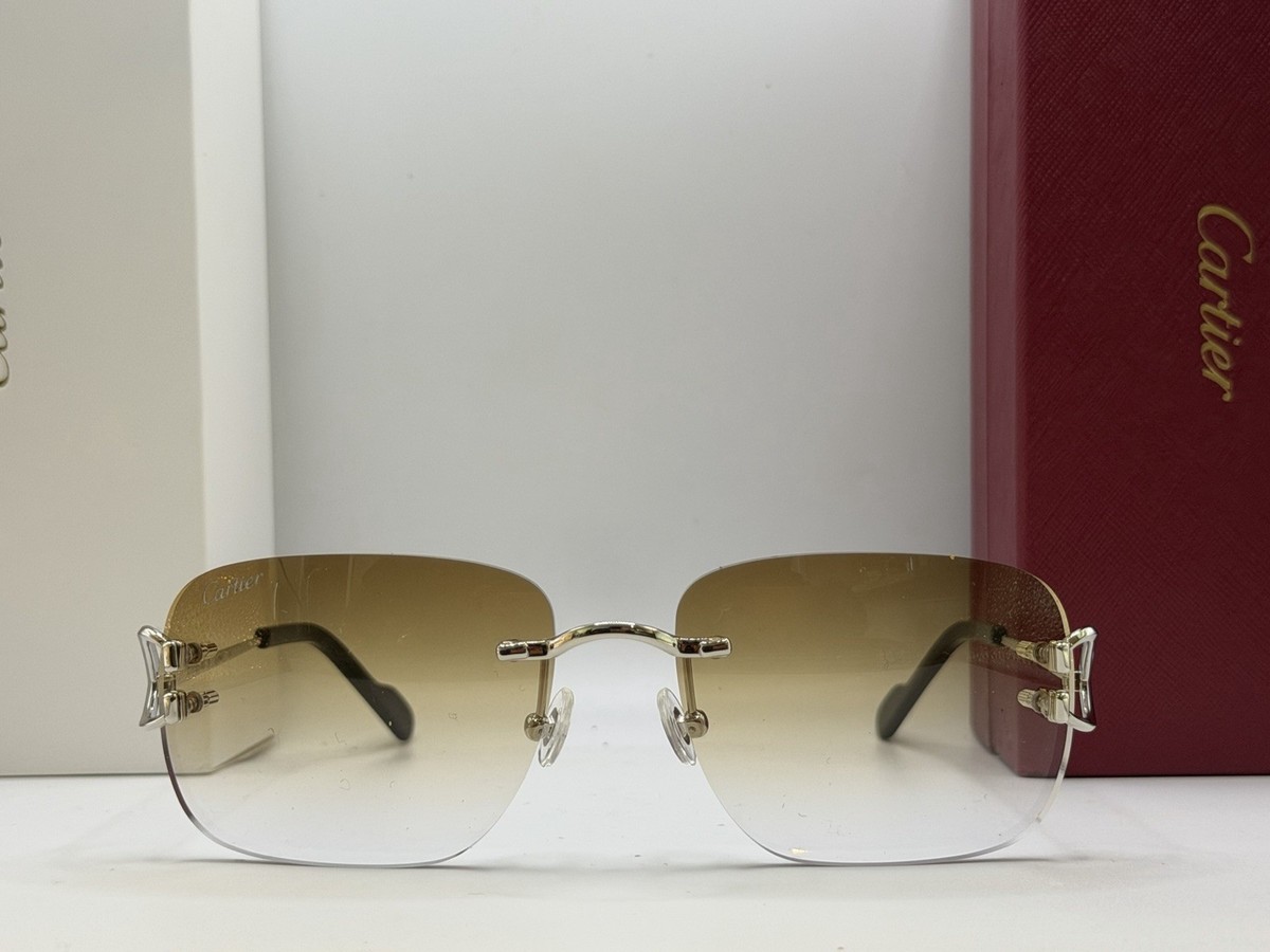 PICCADILLY Gradient light Brown Unisex Sunglasses silver  display picture 2