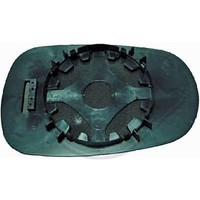 Spiegelglas AußEnspiegel Diederichs 4413127 FüR Renault Links