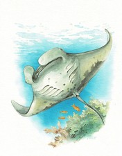 Diabelska płaka Mantaroche - Obraz z nadrukiem artystycznym - 25,5 x 17,5 cm