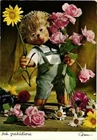 Mecki Von Diehl Film Postcard