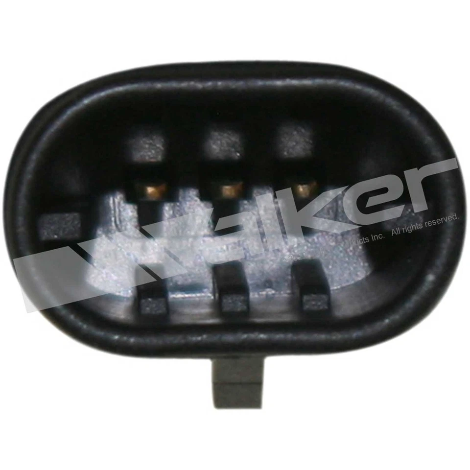 Juego de bobinas de encendido Walker para Buick Rainier 2004-2005 4,2 L L6  Foto 3 de 4