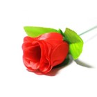Bild 8 von 11