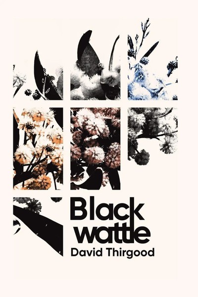 David Thirgood | Blackwattle | Taschenbuch | Englisch (2024) | Austin Macauley-image