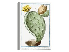 Quadro stampa su tela con