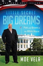 LITTLE SECRET BIG DREAMS: PINK AND BROWN IN THE WHITE By Moe Vela Mint Condition