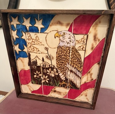 Eagle Hand Pyrography Woodburned with  Painted Flag Build in Frame Art Decor