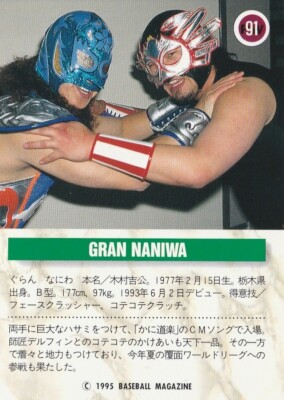 Gran Naniwa 1995 BBM Pro Wrestling #91 | eBay