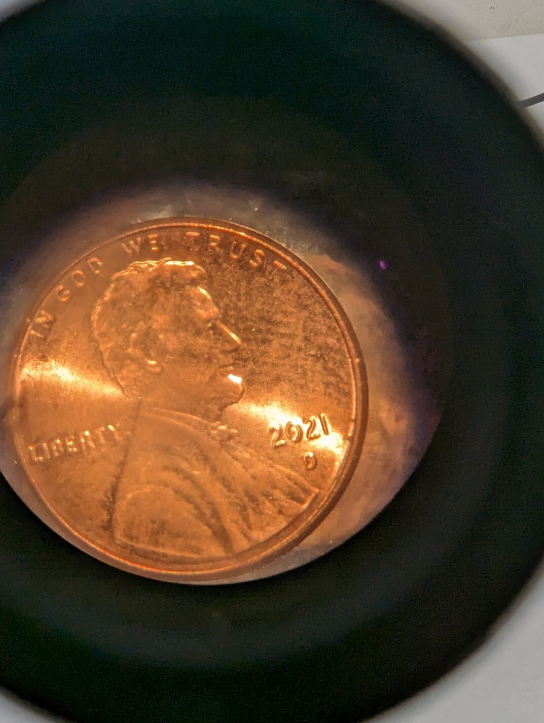 Picture 5 of 5