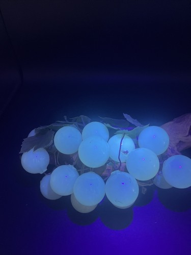 Vintage Lucite Acrylic Grape Cluster White Pearlized Moonglow MCM RARE - Picture 5 of 18
