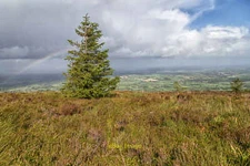 Photo 12x8 On top of Silvermine Mountains Beal Atha Gabhann View north fro c2016