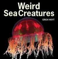 Weird Sea Creatures Erich Hoyt Taschenbuch Englisch 2013 Firefly Books