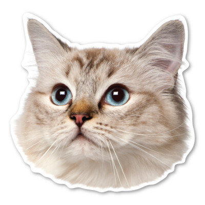 Ragdoll Cat Magnet