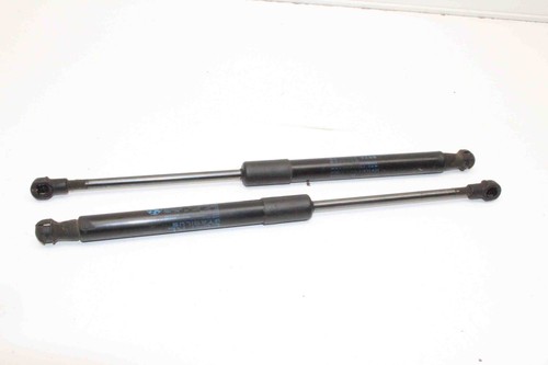 BMW X1 E84 Vordere linke Motorhaubendämpfer 2990344 2.00 Diesel 130kw 23524150