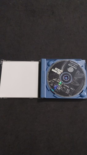 LODOSS RECORD OF LODOSS WAR SEGA DREAMCAST PAL UKV USATO COMPLETO BELLO - Foto 3 di 6