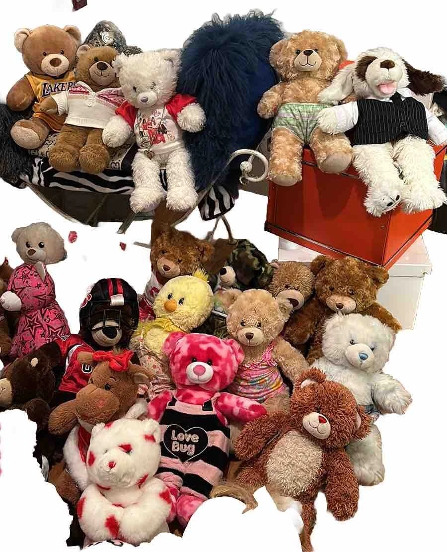 Build bears 2024