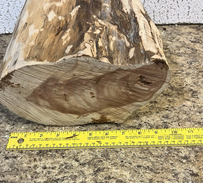 Live Edge Eastern Red Cedar Log 10'' x 8 '' x 5'' Bowl Turning Blank