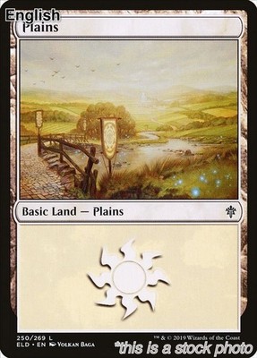 Plains [ELD - 250MagicLPLandEN