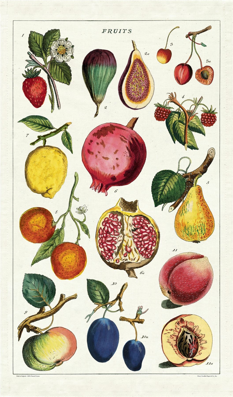 Cavallini - 100% Natural Cotton Vintage Tea Towel - 80 x 47cms - Fruit