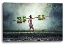 Wandbild Junge im Regenwald mit nacktem Oberkörper