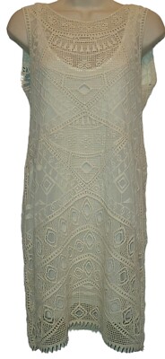 Ella Moss Cream Embroidered Mesh Lace Shift Dress Size XS