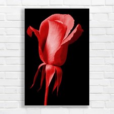 Improve Website Metadata For Better Seo Results Red Canvas Print Large Picture