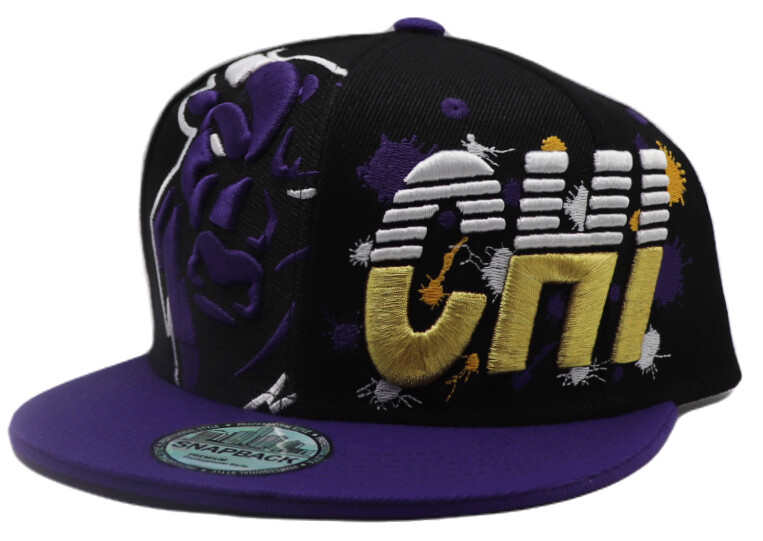 Chicago New Leader Splash Angry Bull Bulls ALT Black Purple