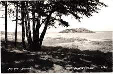 Picnic Rocks Marquette MI RPPC Real Photo Postcard 1930s-40s