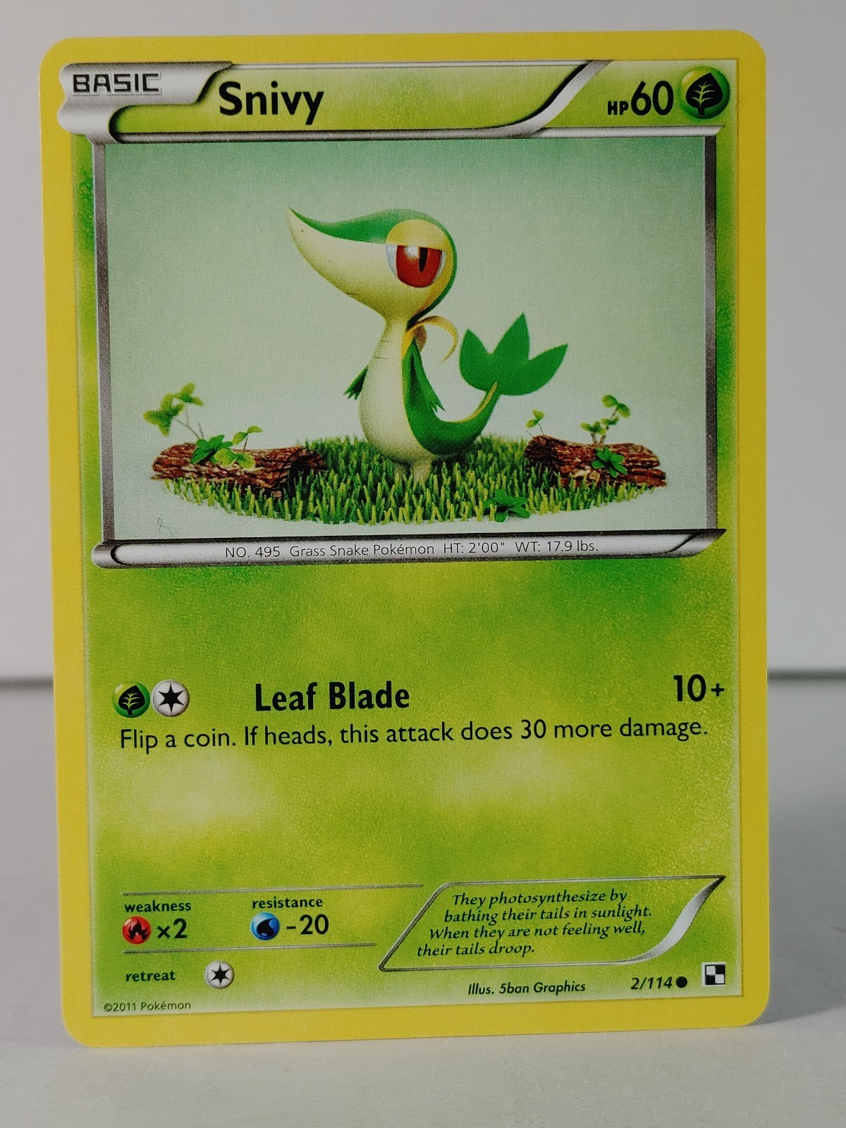 Snivy - Black & White base set #2 - Pokemon  - NM -H