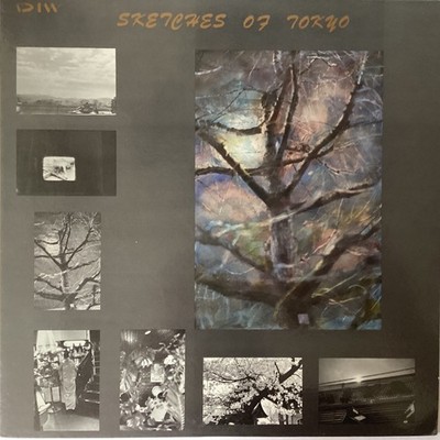 JOHN HICKS & DAVID MURRAY LP RECORD  SKETCHES OF TOKYO  (DIW)
