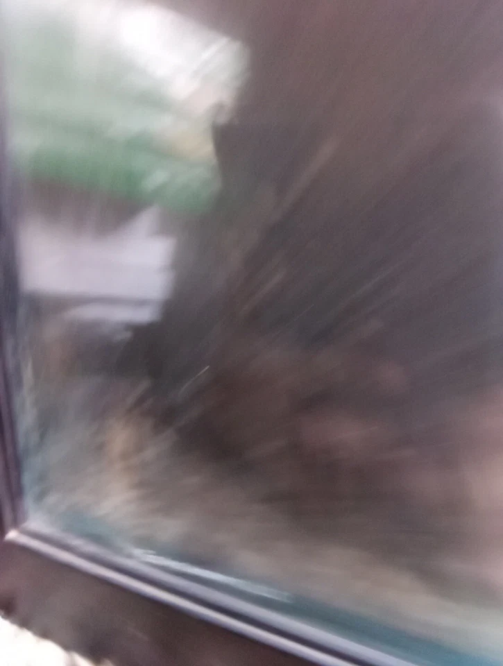 Vintage NECA Boondock Saints Large Movie Poster 24"×36" - Image 4 of 4