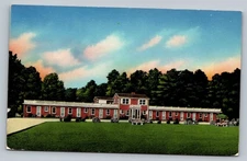 Lewis Motel Olanta South Carolina SC c1960 Vintage Postcard