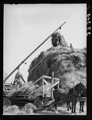 Mormon Farmers,FSA,Farm Security Administration,Box Elder County,Utah,UT