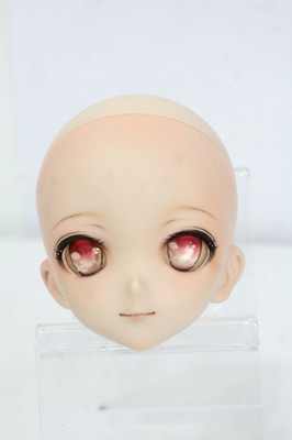 Volks DDH-10 Custom Head Kashiwagi Kotono Dollfie Dream For Adult Collectors