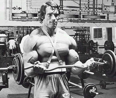 Arnold Schwarzenegger Bodybuilding Foto Poster Stampa Muro Arnie - Foto 8