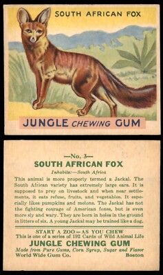 1933 R78 Goudey Gum Jungle Gum #3 SOUTH AFRICAN FOX VG/EX  **NONS**