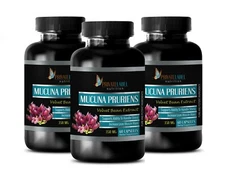 energy boost pre workout - MUCUNA PRURIENS VELVET BEAN - stress supplements 3BOT